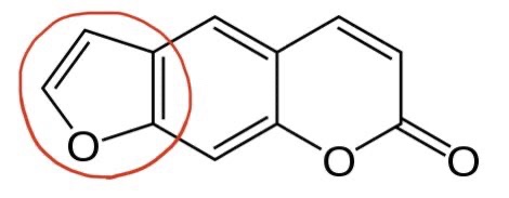 フラノクマリンの化学構造式とCYP阻害