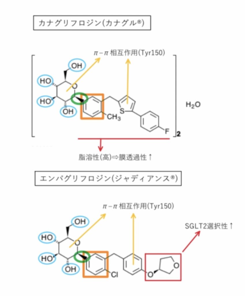 カナグリフロジン(カナグル®︎)とエンパグリフロジン(ジャディアンス®︎)の化学構造式