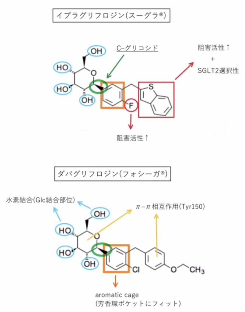 イプラグリフロジン(スーグラ®︎)とダパグリフロジン(フォシーガ®︎)の化学構造式