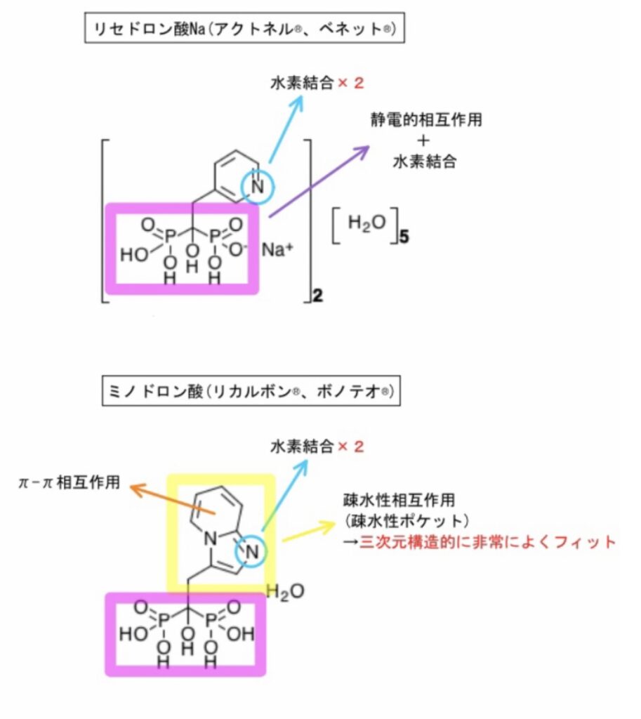 ビスホスホネート製剤、リセドロン酸とミノドロン酸の化学構造式