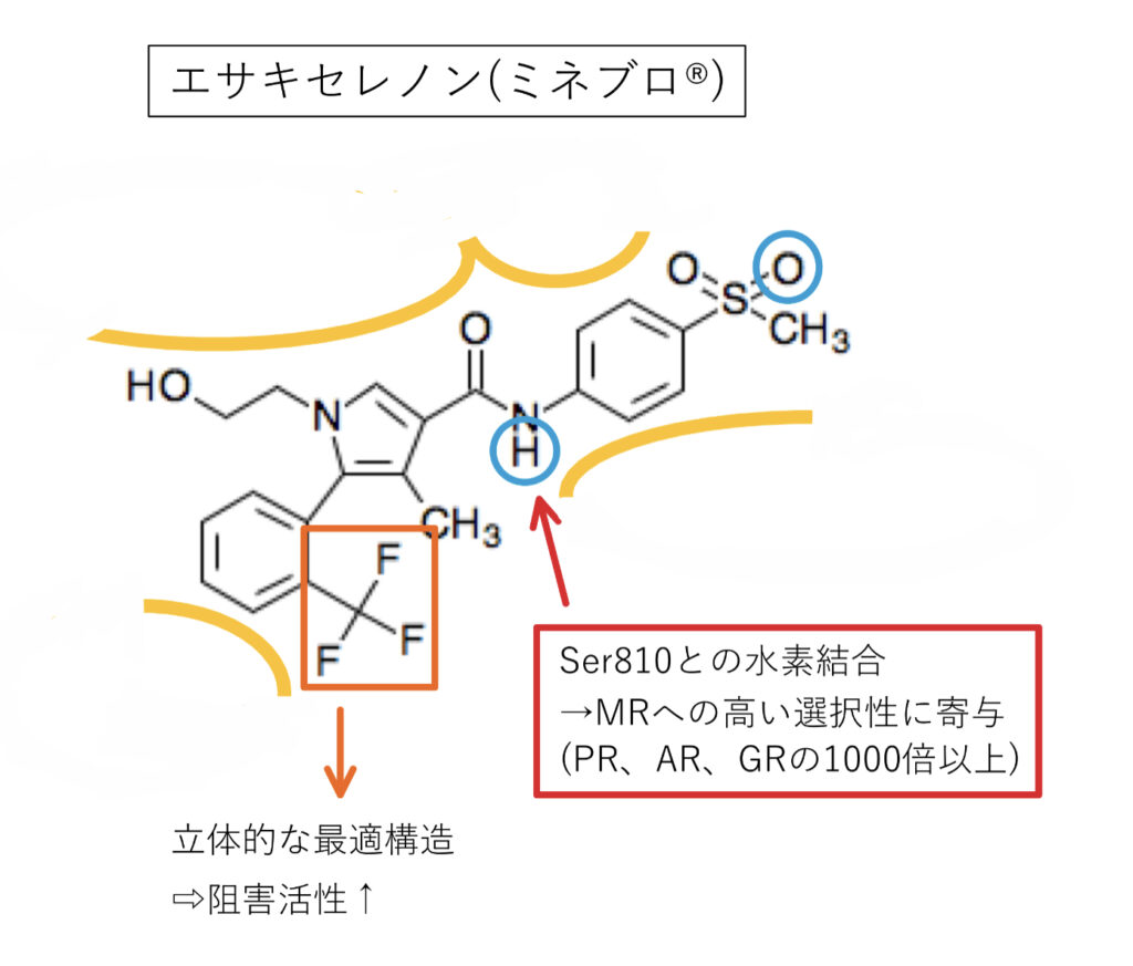 ミネラルコルチコイド受容体拮抗薬、エサキセレノンの化学構造式