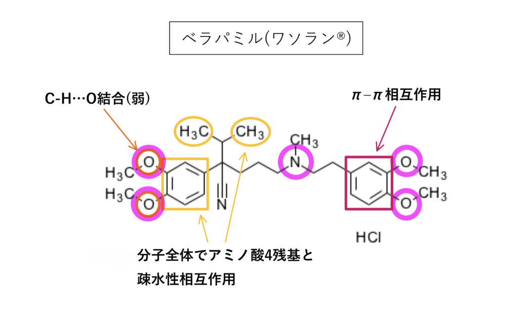 P糖タンパク質の基質と阻害薬のベラパミル