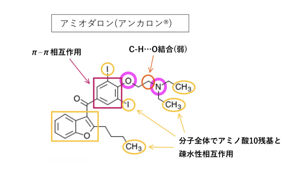 P糖タンパク質の阻害薬のアミオダロン