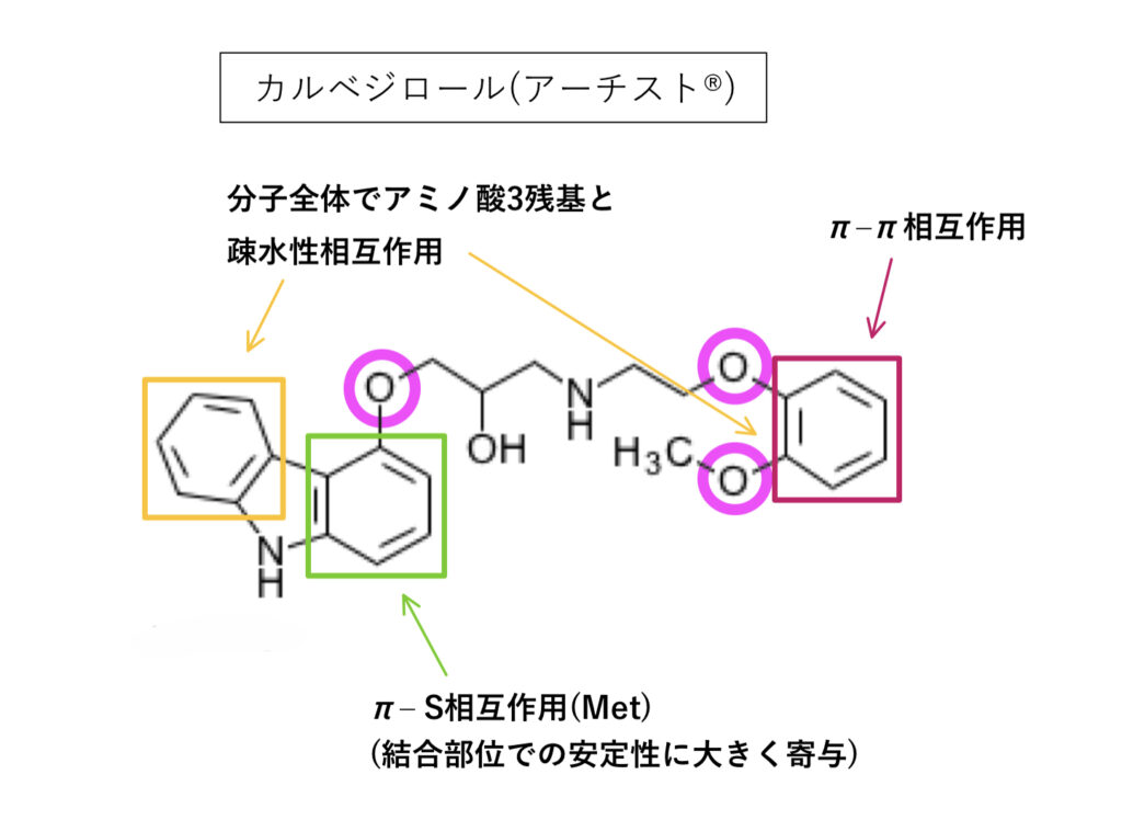 P糖タンパク質の基質と阻害薬のカルベジロール