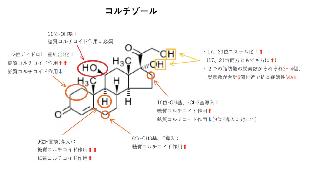 ステロイド外用薬とステロイドの構造活性相関