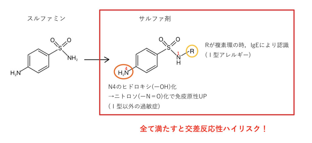 サルファ剤とアレルギーの関係の図