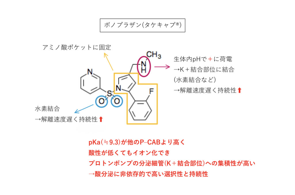 ボノプラザン（タケキャブ®︎）の化学構造式と相互作用の図