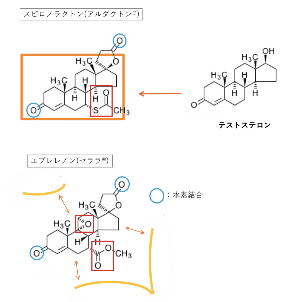 ミネラルコルチコイド受容体拮抗薬、スピロノラクトンとエプレレノンの化学構造