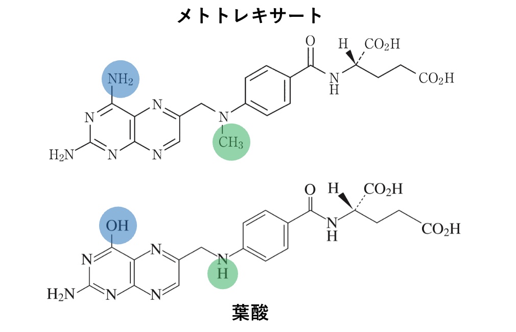 メトトレキサートと葉酸の構造式