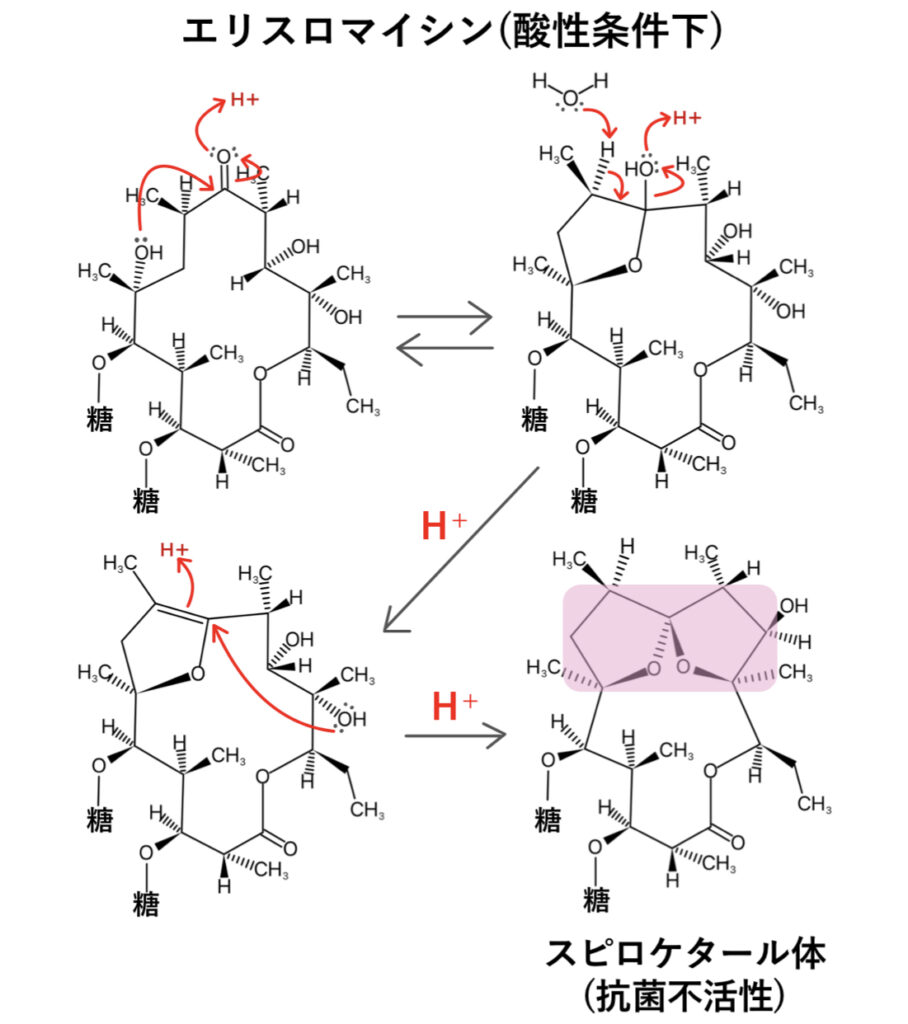 エリスロマイシン、クラリスロマイシンの化学反応