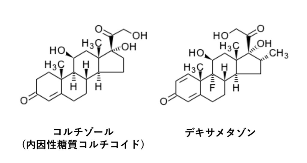 ステロイドの化学構造