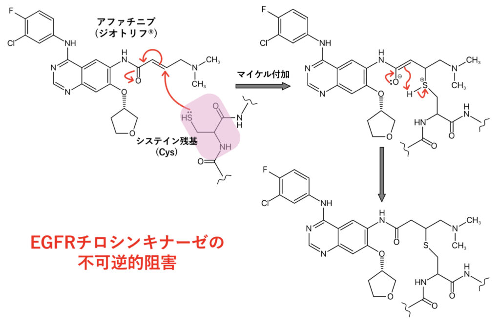 アファチニブ(ジオトリフ®︎)のマイケル付加