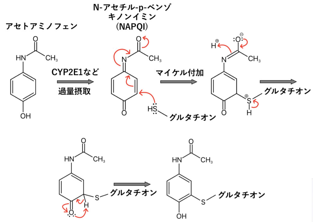 アセトアミノフェンの代謝とマイケル付加