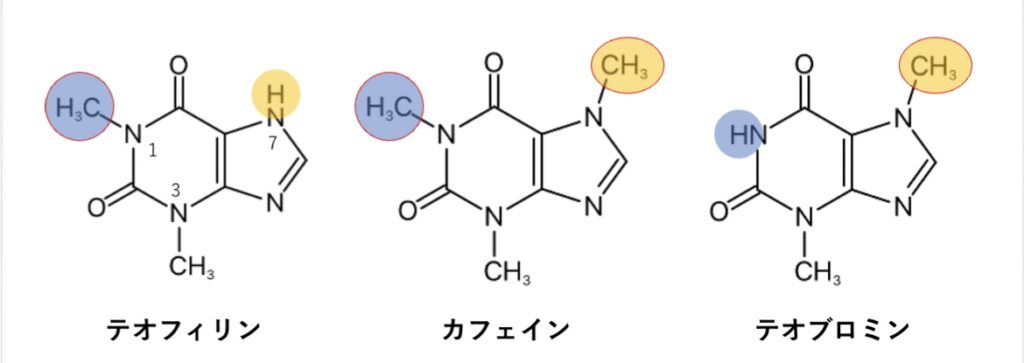 テオフィリン、カフェイン、テオブロミンの化学構造