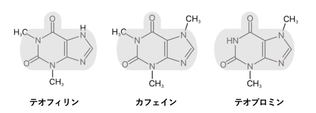 テオフィリン、カフェイン、テオブロミンの化学構造