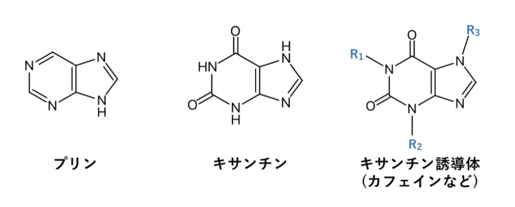 プリン、キサンチン、カフェインの化学構造