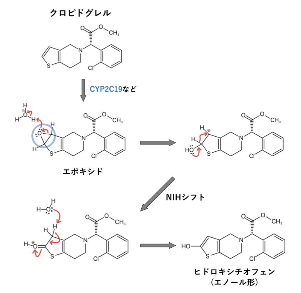 クロピドグレル(プラビックス®︎)の代謝反応