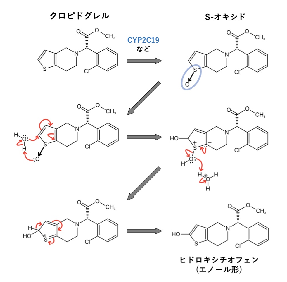 クロピドグレル(プラビックス®︎)の代謝反応