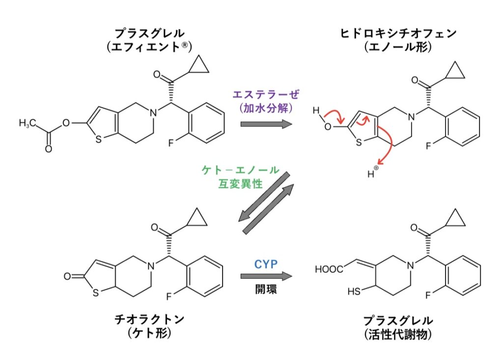 プラスグレル(エフィエント®︎)の代謝反応