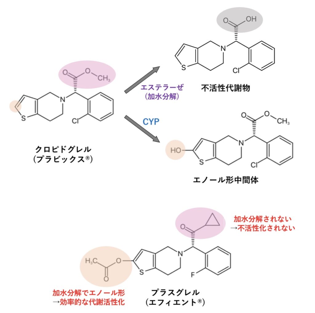 クロピドグレル(プラビックス®︎)とプラスグレル(エフィエント®︎)の違い