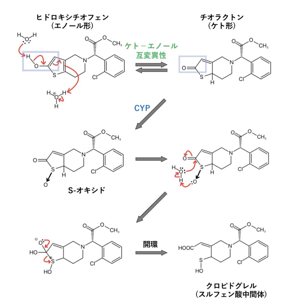 クロピドグレル(プラビックス®︎)の代謝反応