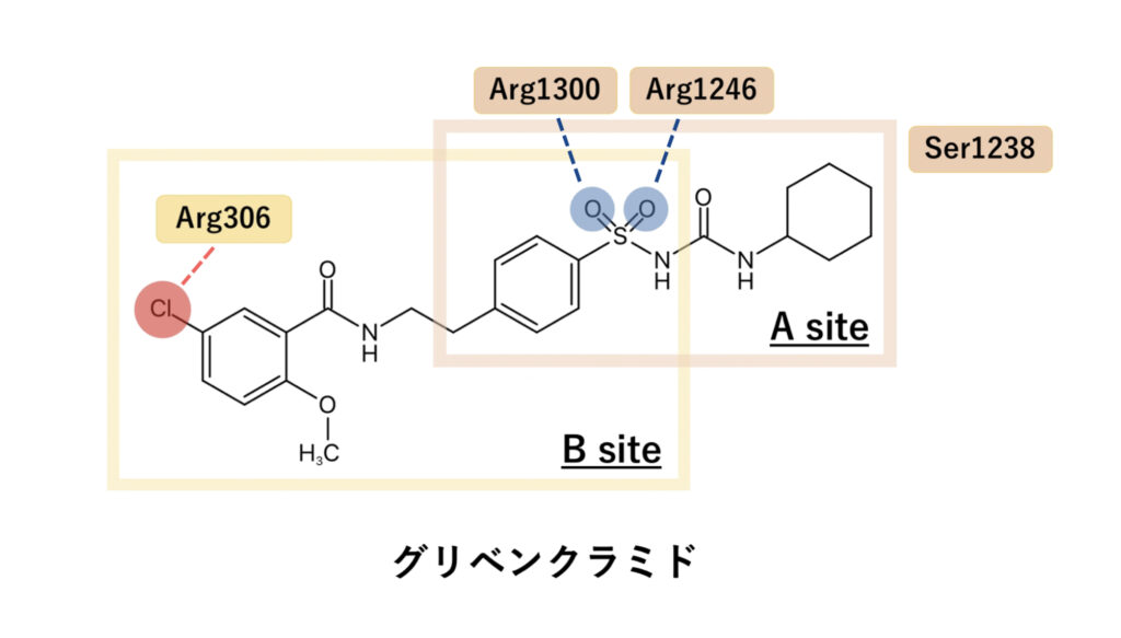 スルホニル尿素薬のグリベンクラミドの化学構造式