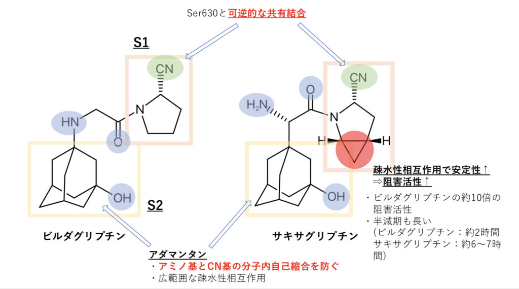 ビルダグリプチンとサキサグリプチンの化学構造式