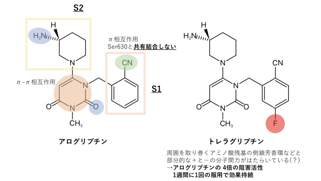 アログリプチンとトレラグリプチンの化学構造式