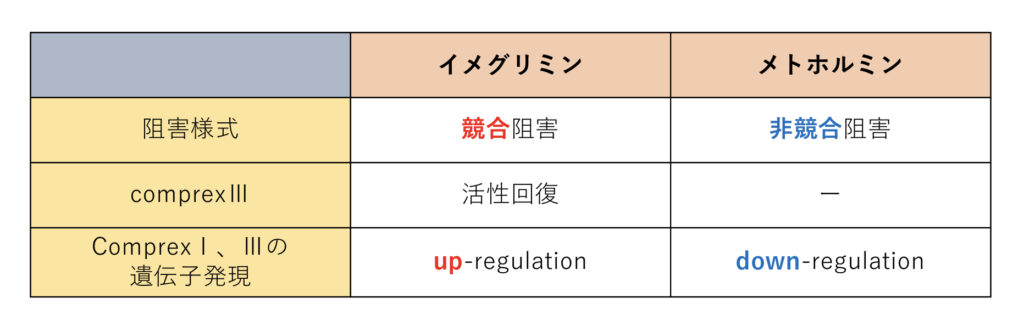 イメグリミンとメトホルミンの作用機序の比較