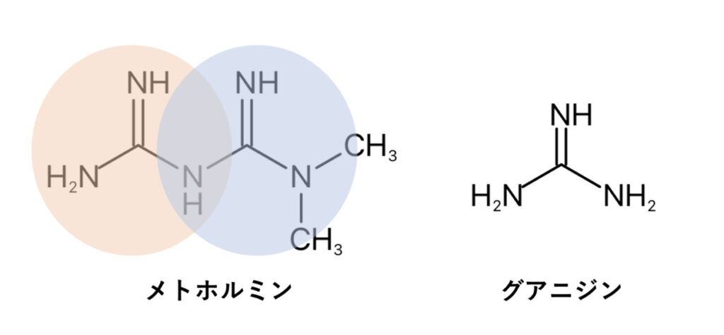 メトホルミンとグアニジンの化学構造式