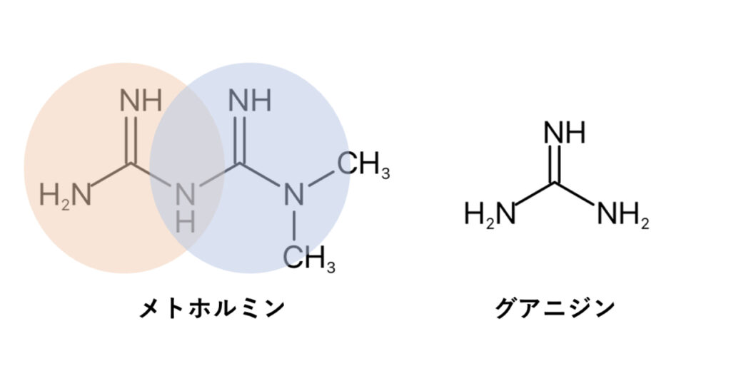 メトホルミンとグアニジンの化学構造式