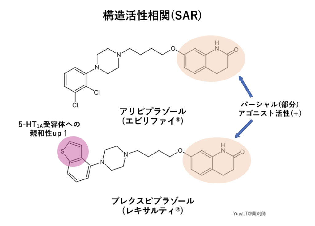 アリピプラゾールとブレクスピプラゾールの構造活性相関を表す模式図