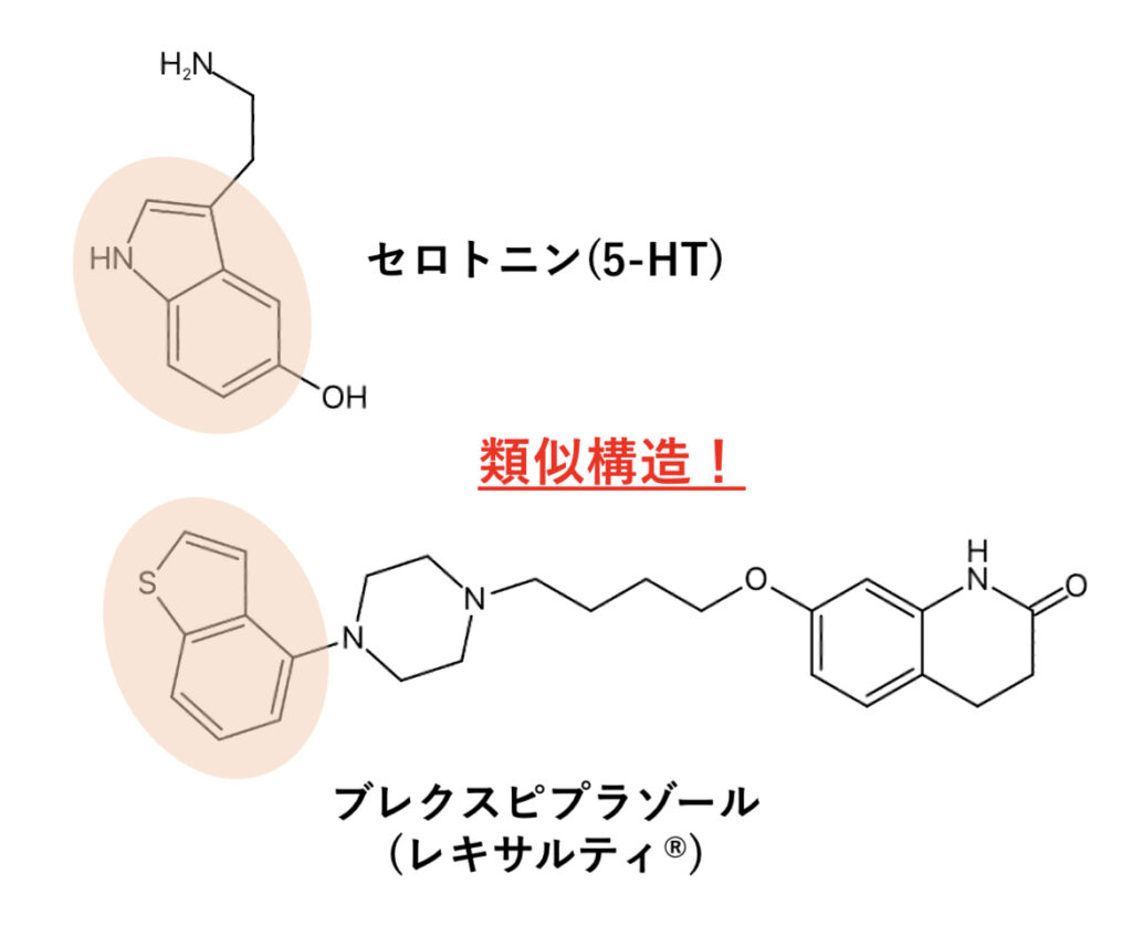 ブレクスピプラゾールの部分構造がセロトニン(5-HT)に類似していることを示す模式図